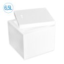 Boîte isotherme en polystyrène 6,5 litres glacière récipient d’expédition (20 pièces par carton)