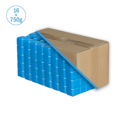 Accumulateur de Froid 750g Iceblock – Refroidissement Durable pour Aliments, Boissons et Médicaments (16 pièces par carton)
