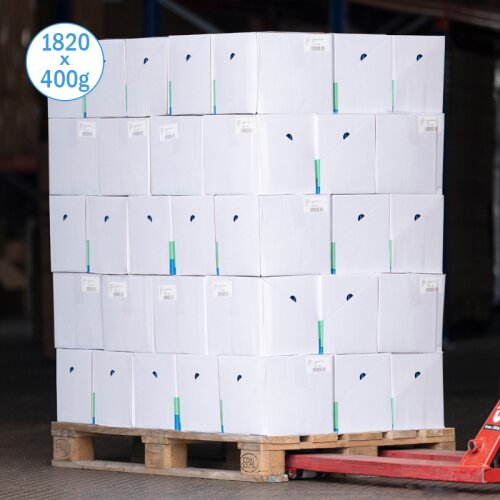 Accumulateur de Froid plat 400g Freezeboard – Refroidissement durable pour les aliments, les boissons et les médicaments (1820 pieces per pallet)